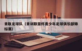 青联足球队(青训联盟杯青少年足球俱乐部锦标赛)