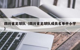 四川省足球队(四川省足球队成员名单中小学)