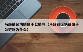 马蹄链区块链属于公链吗(马蹄链区块链属于公链吗为什么)