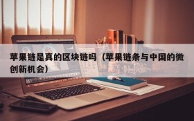苹果链是真的区块链吗（苹果链条与中国的微创新机会）