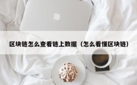 区块链怎么查看链上数据(怎么看懂区块链)