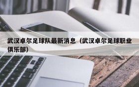 武汉卓尔足球队最新消息(武汉卓尔足球职业俱乐部)