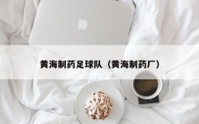 黄海制药足球队(黄海制药厂)