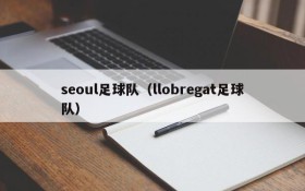 seoul足球队（llobregat足球队）