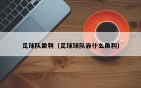 足球队盈利（足球球队靠什么盈利）