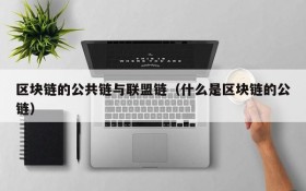 区块链的公共链与联盟链(什么是区块链的公链)