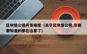 区块链公链开发难度(关于区块链公链,你需要知道的都在这里了)