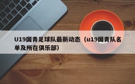 U19国青足球队最新动态(u19国青队名单及所在俱乐部)