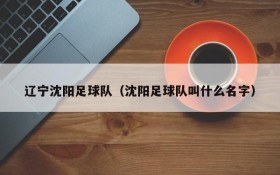 辽宁沈阳足球队(沈阳足球队叫什么名字)