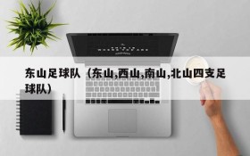 东山足球队(东山,西山,南山,北山四支足球队)