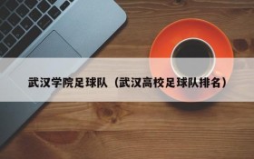 武汉学院足球队（武汉高校足球队排名）