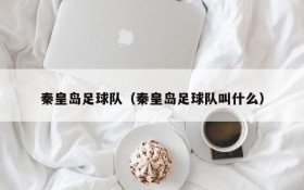 秦皇岛足球队(秦皇岛足球队叫什么)