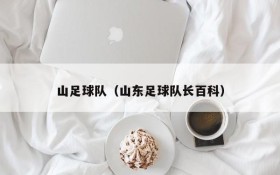 山足球队(山东足球队长百科)