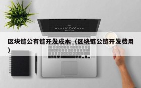 区块链公有链开发成本（区块链公链开发费用）