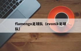flamengo足球队(evonik足球队)