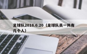 足球队2018.6.20(足球队员一共有几个人)