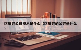 区块链公链技术是什么(区块链的公链是什么)