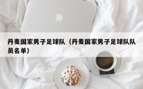 丹麦国家男子足球队（丹麦国家男子足球队队员名单）