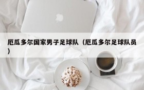 厄瓜多尔国家男子足球队(厄瓜多尔足球队员)