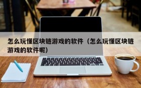 怎么玩懂区块链游戏的软件（怎么玩懂区块链游戏的软件呢）