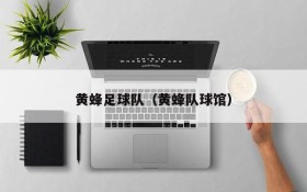 黄蜂足球队(黄蜂队球馆)