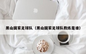 黑山国家足球队(黑山国家足球队教练是谁)