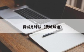 费城足球队（费城球迷）