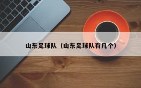 山东足球队(山东足球队有几个)