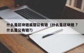 什么是区块链底层公有链(什么是区块链 ?什么是公有链?)