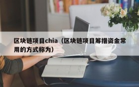 区块链项目chia(区块链项目筹措资金常用的方式称为)