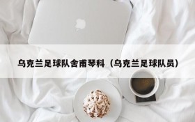 乌克兰足球队舍甫琴科(乌克兰足球队员)