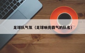 足球队气氛(足球响亮霸气的队名)