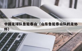 中国足球队鲁能泰山(山东鲁能泰山队的足协杯)