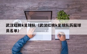 武汉红桃k足球队(武汉红桃k足球队历届球员名单)