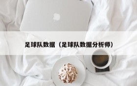 足球队数据（足球队数据分析师）