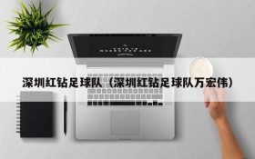 深圳红钻足球队(深圳红钻足球队万宏伟)