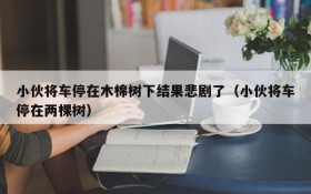 小伙将车停在木棉树下结果悲剧了(小伙将车停在两棵树)