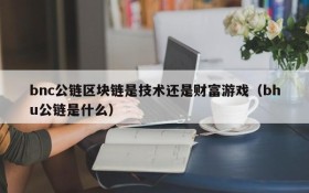 bnc公链区块链是技术还是财富游戏（bhu公链是什么）
