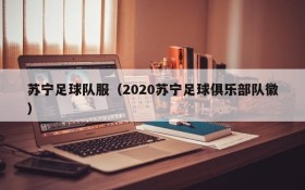 苏宁足球队服(2020苏宁足球俱乐部队徽)
