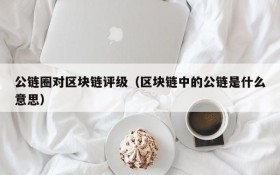 公链圈对区块链评级(区块链中的公链是什么意思)