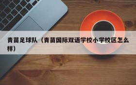 青苗足球队（青苗国际双语学校小学校区怎么样）
