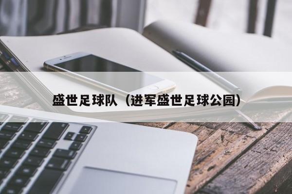 盛世足球队（进军盛世足球公园）