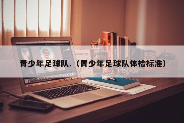 青少年足球队.（青少年足球队体检标准）