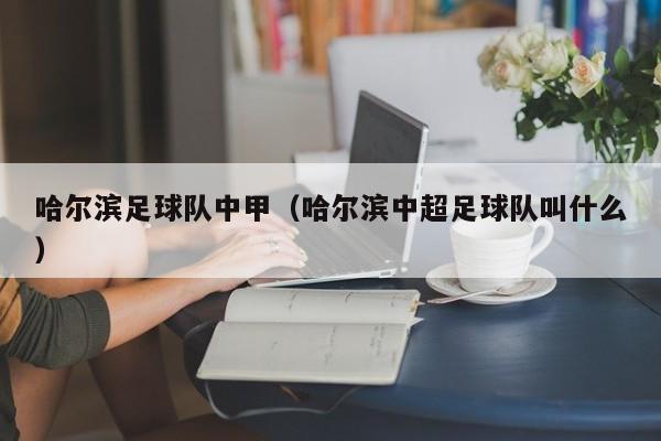 哈尔滨足球队中甲（哈尔滨中超足球队叫什么）