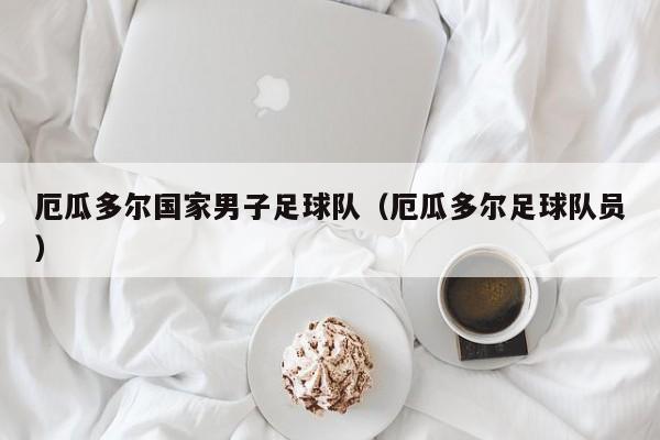 厄瓜多尔国家男子足球队（厄瓜多尔足球队员）