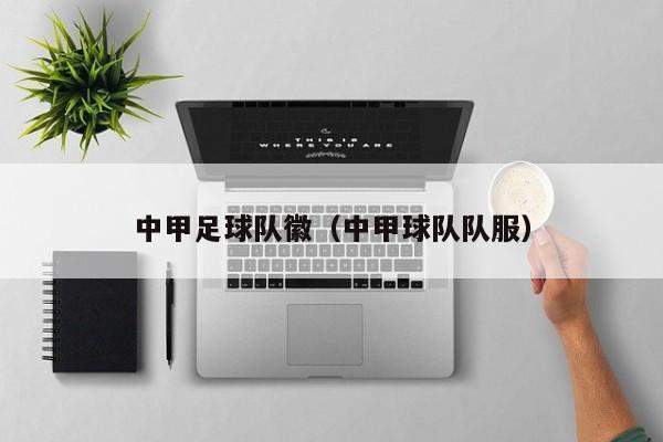 中甲足球队徽（中甲球队队服）
