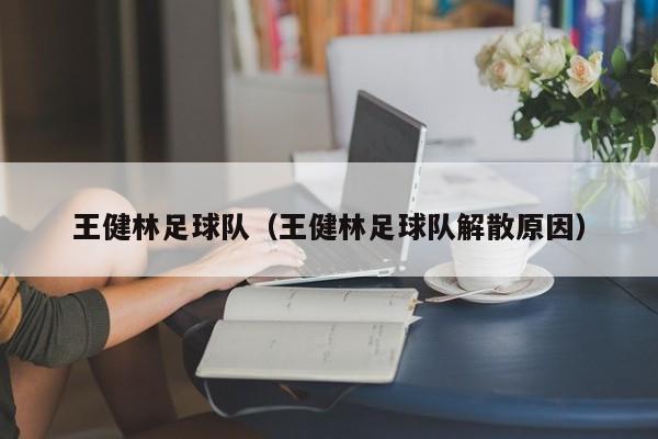 王健林足球队（王健林足球队解散原因）