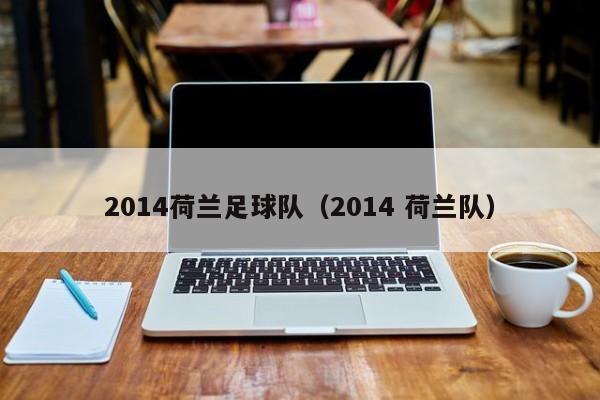 2014荷兰足球队（2014 荷兰队）