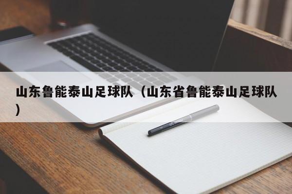 山东鲁能泰山足球队（山东省鲁能泰山足球队）