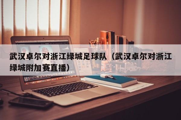 武汉卓尔对浙江绿城足球队（武汉卓尔对浙江绿城附加赛直播）